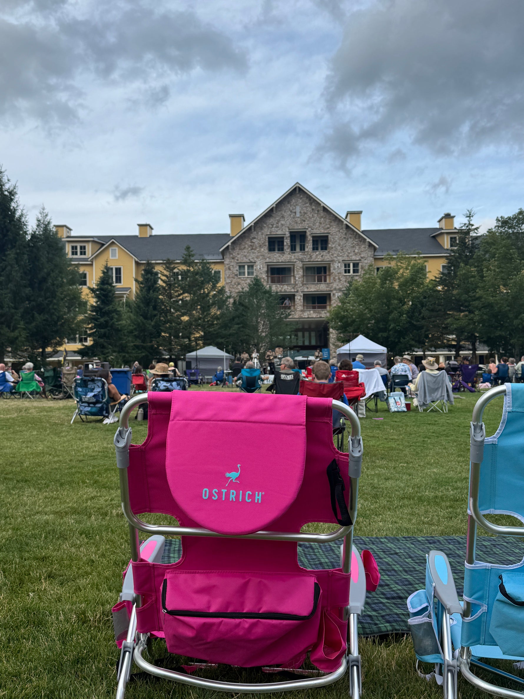 Ostrich in Its Natural Habitat: Outdoor Concerts